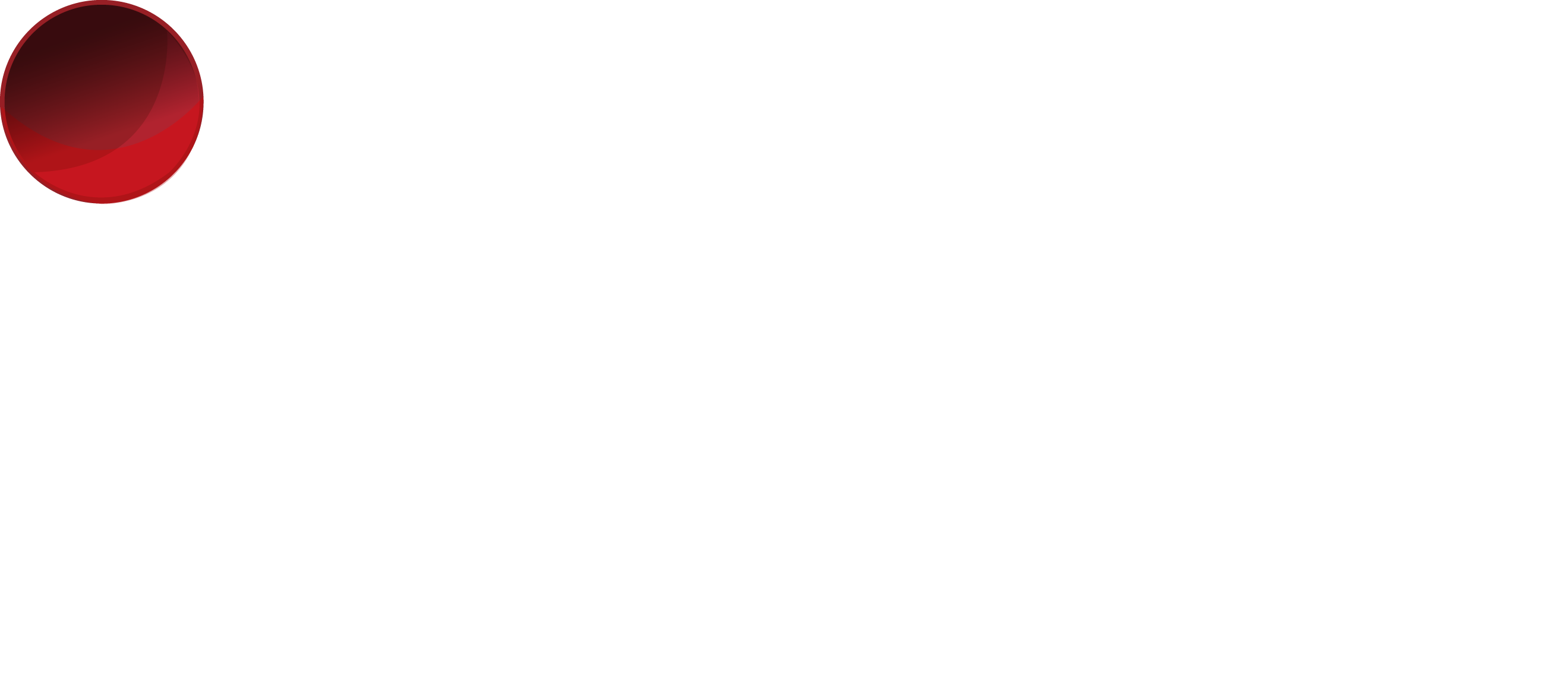 INGOT logo 2024-04